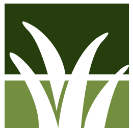Englewood Lawn Clean Up