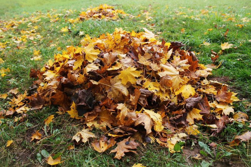 Leaf Mulching in Progress