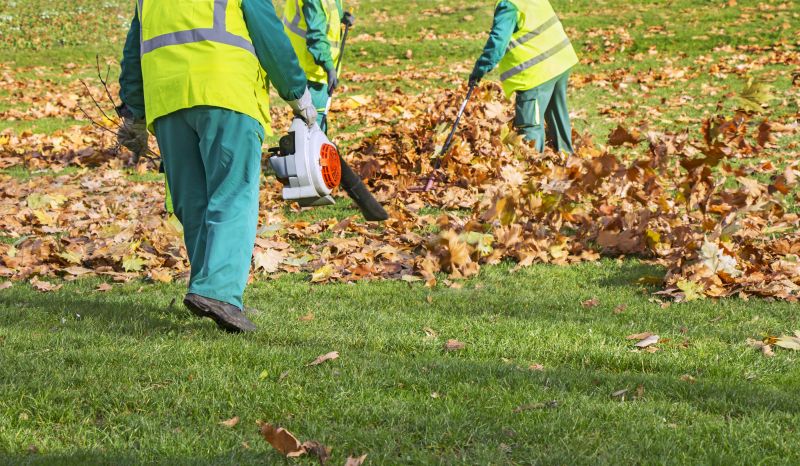 Team Performing Leaf Collection