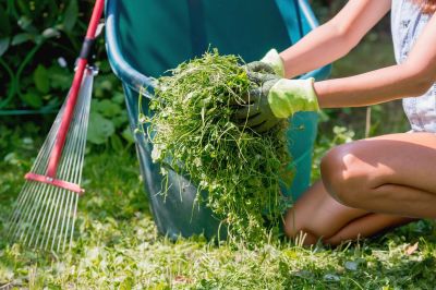 Lawn Cleanup Service