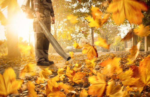 Leaf Blowing Service in Englewood
