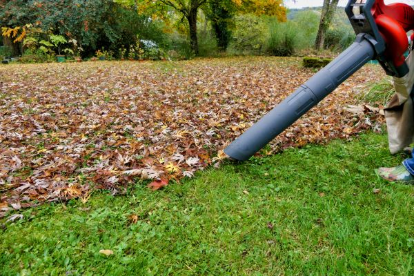 Leaf Vacuuming Service in Englewood