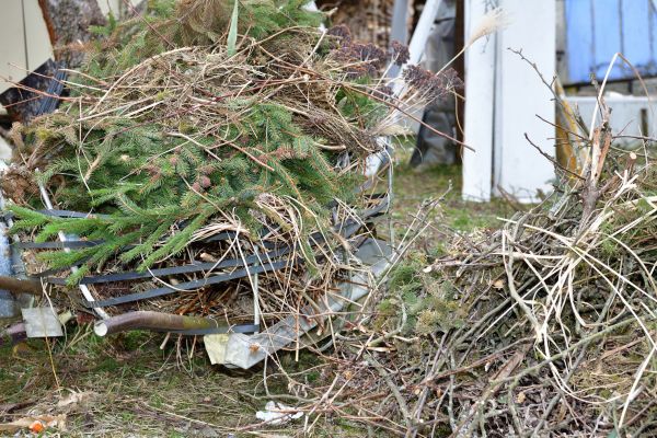 Yard Debris Removal in Englewood