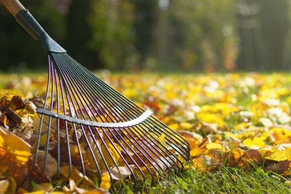 Leaf Raking Service in Englewood