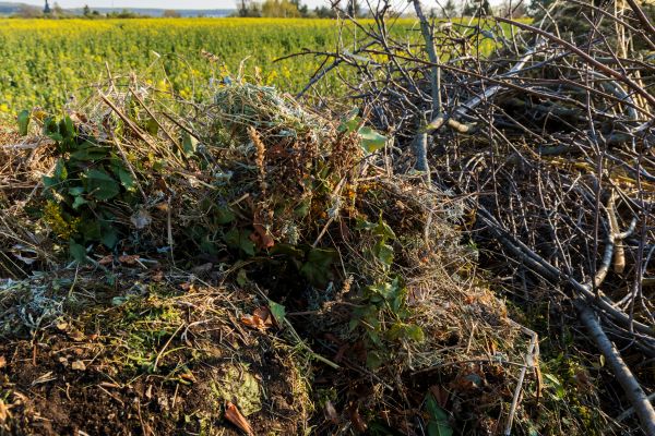 Brush Disposal in Englewood