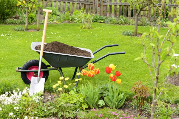 Cost of Spring Yard Cleanup in Englewood