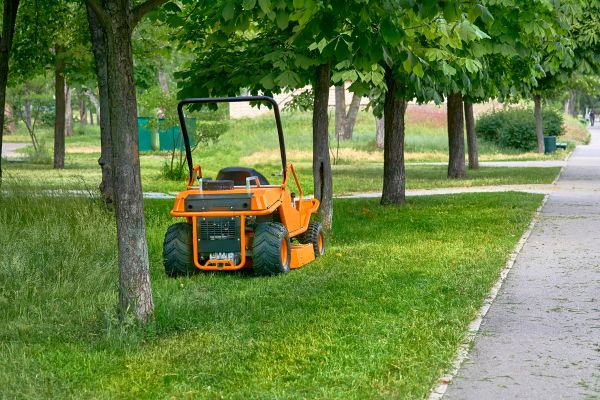 Cost of Landscaping Cleanup Service in Englewood