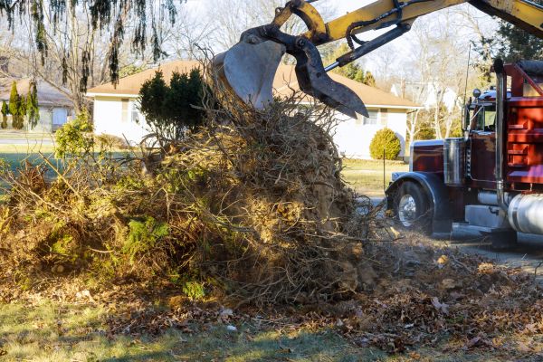 Storm Debris Removal in Englewood