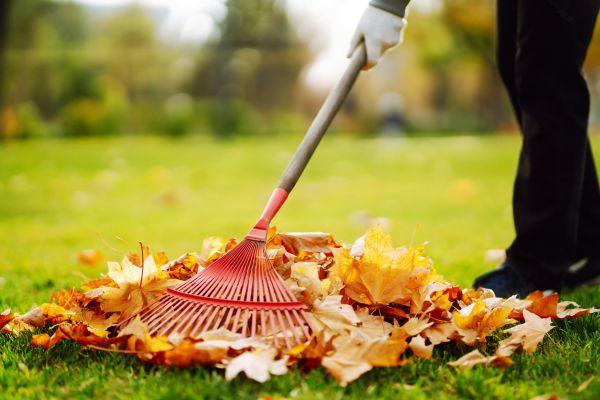 Cost of Ditch Leaf Removal in Englewood