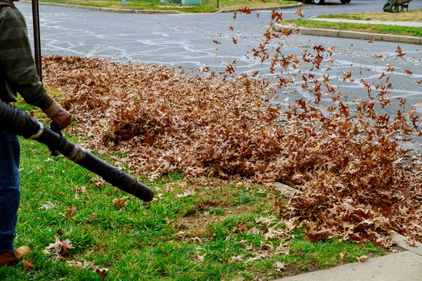 Cost of Garden Leaf Removal in Englewood