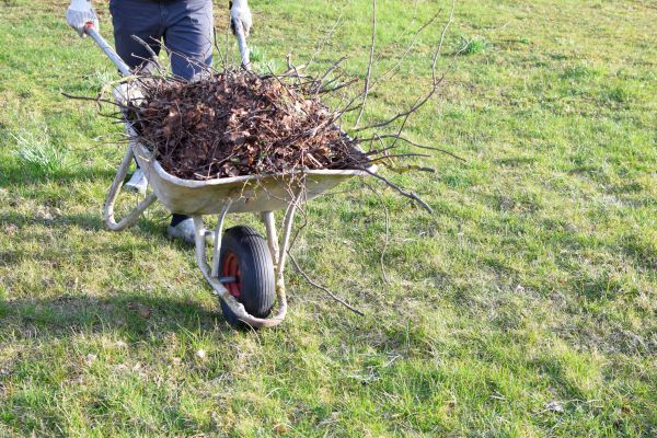 Yard Brush Removal in Englewood