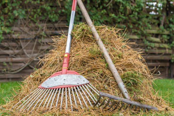 Cost of Pine Straw Clearing in Englewood