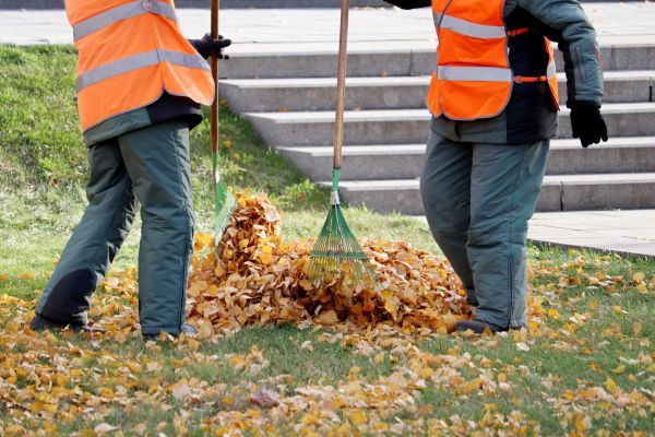 Cost of Leaf Hauling Service in Englewood