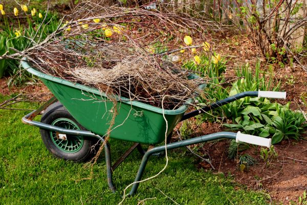 Lawn Waste Removal in Englewood