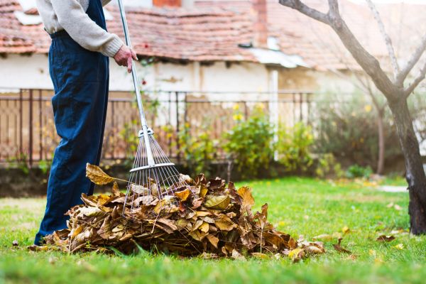 Cost of Fall Yard Cleanup Service in Englewood