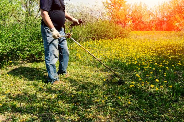 Cost of Yard Clearing Service in Englewood