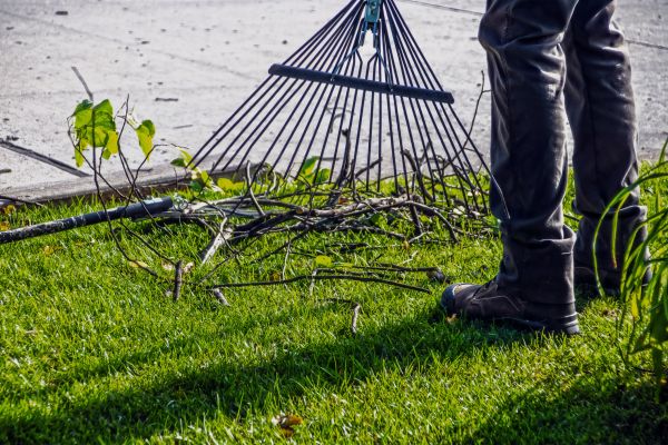 Cost of Yard Debris Cleanup in Englewood
