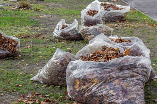 Cost of Leaf Pile Disposal in Englewood