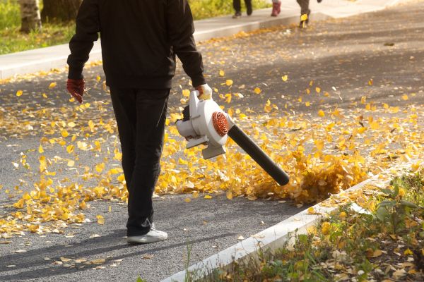 Commercial Leaf Removal in Englewood